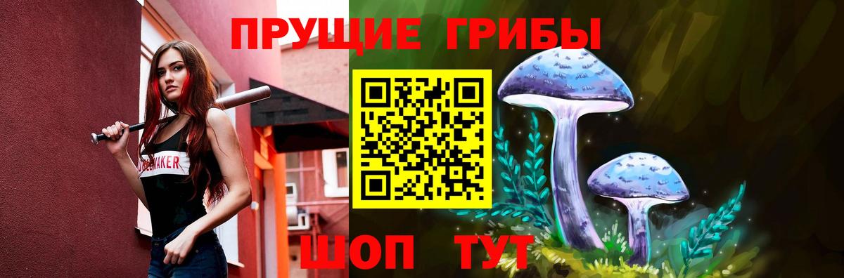 Астрахань  Псилоцибиновые грибы ЛСД  Вход с VPN 